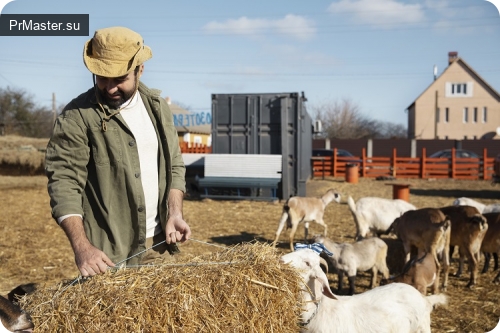 Типы весов для животных: с ограждениями, без ограждений, автоприцеп Типы весов для животных: с ограждениями, без ограждений, автоприцеп