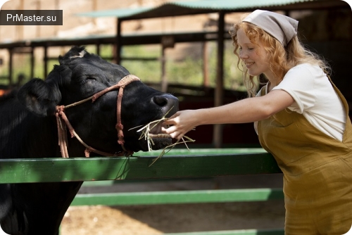 Как правильно определить массу крупного рогатого скота с помощью весов? Как правильно определить массу крупного рогатого скота с помощью весов?